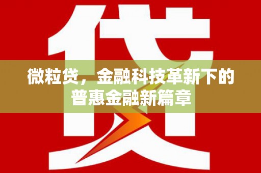 洪雅微粒贷，金融科技革新下的普惠金融新篇章