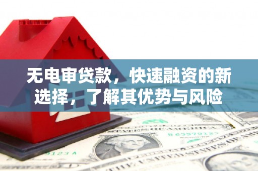 虎尾无电审贷款，快速融资的新选择，了解其优势与风险