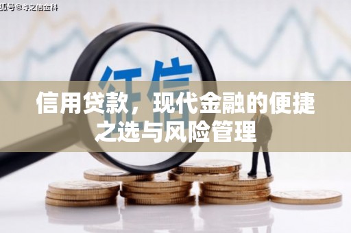 伽师信用贷款，现代金融的便捷之选与风险管理