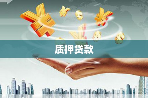 永康质押贷款