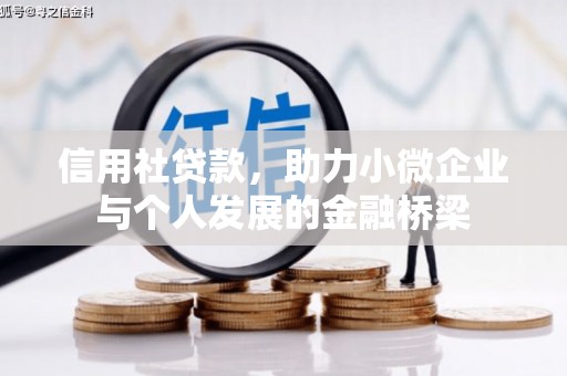 西和信用社贷款，助力小微企业与个人发展的金融桥梁