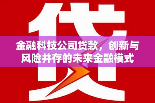 东阿金融科技公司贷款，创新与风险并存的未来金融模式