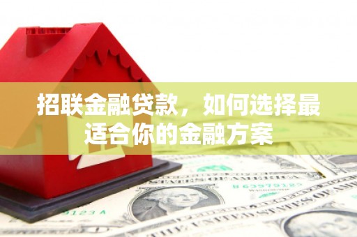 大英招联金融贷款，如何选择最适合你的金融方案