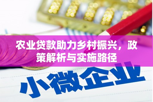 瑞芳农业贷款助力乡村振兴，政策解析与实施路径