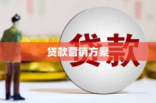 临安贷款营销方案
