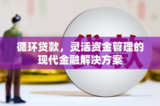遂昌循环贷款，灵活资金管理的现代金融解决方案