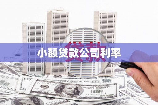 临沭小额贷款公司利率