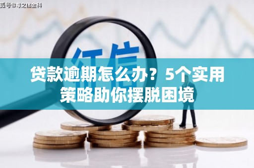 荣县贷款逾期怎么办？5个实用策略助你摆脱困境