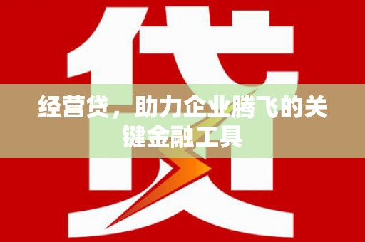 新店经营贷，助力企业腾飞的关键金融工具