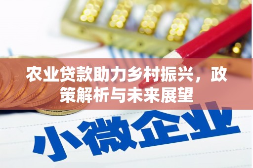 子洲农业贷款助力乡村振兴，政策解析与未来展望