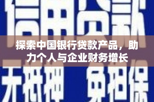 浔阳探索中国银行贷款产品，助力个人与企业财务增长