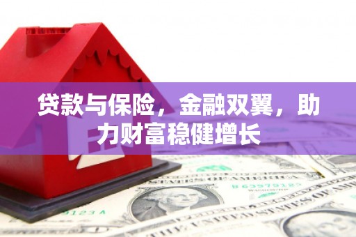 大社贷款与保险，金融双翼，助力财富稳健增长