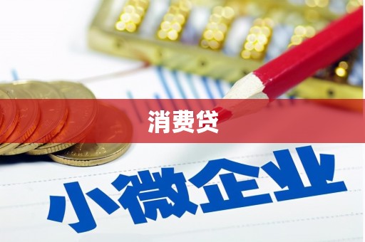 海南消费贷