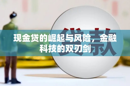 特克斯现金贷的崛起与风险，金融科技的双刃剑
