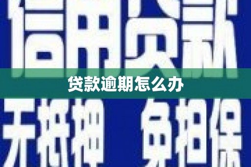 民丰贷款逾期怎么办