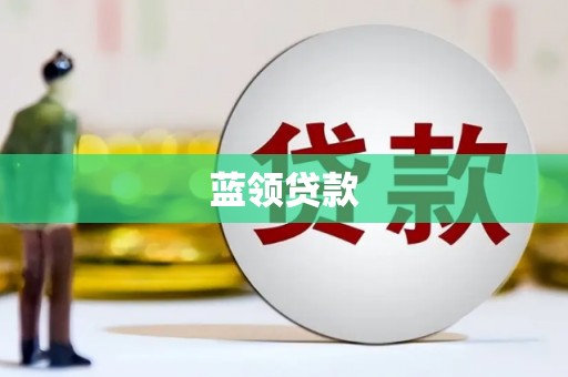 岱岳蓝领贷款