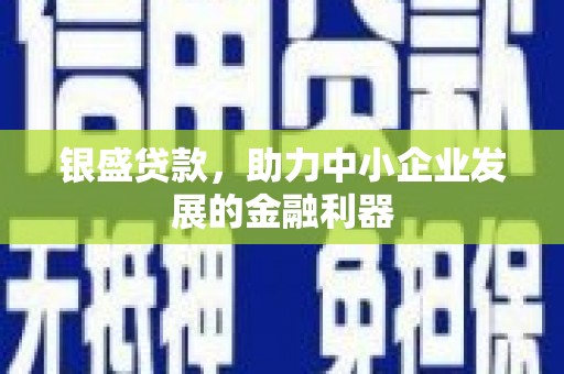 莱城银盛贷款，助力中小企业发展的金融利器