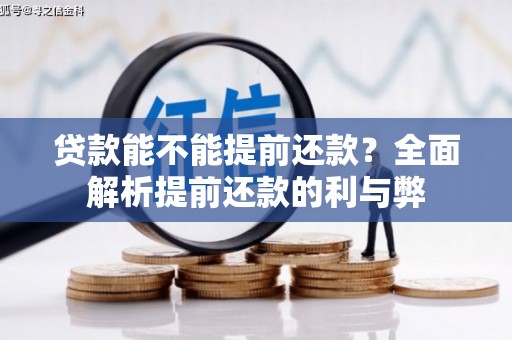 新县贷款能不能提前还款？全面解析提前还款的利与弊