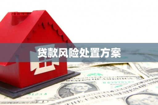 德令哈贷款风险处置方案