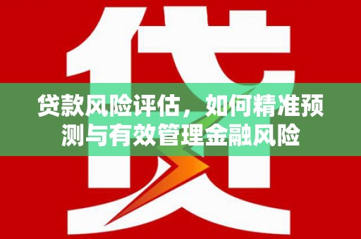 颍泉贷款风险评估，如何精准预测与有效管理金融风险