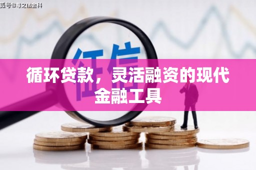 海原循环贷款，灵活融资的现代金融工具