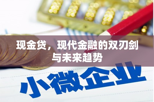 濮阳现金贷，现代金融的双刃剑与未来趋势
