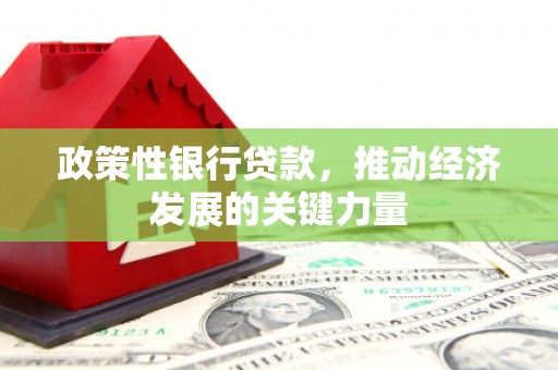 荣县政策性银行贷款，推动经济发展的关键力量