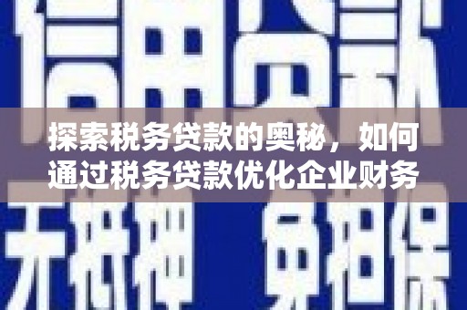 大林探索税务贷款的奥秘，如何通过税务贷款优化企业财务