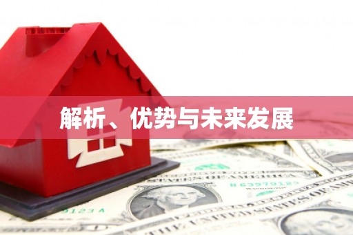武侯解析、优势与未来发展
