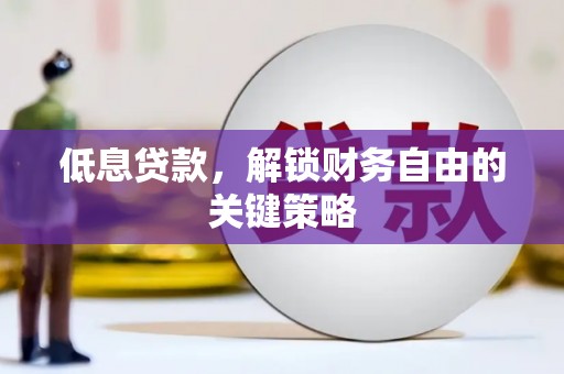 天津低息贷款，解锁财务自由的关键策略