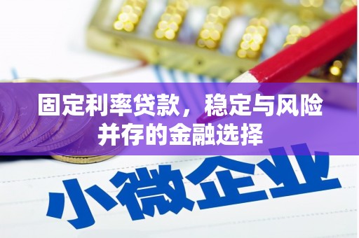 东至固定利率贷款，稳定与风险并存的金融选择