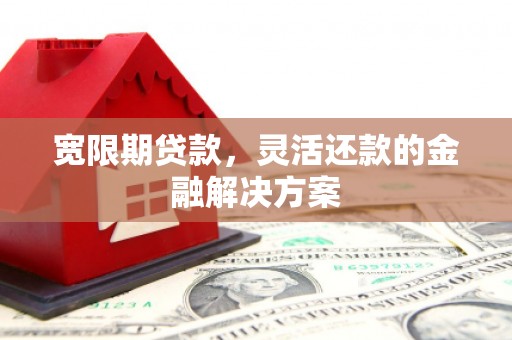 历下宽限期贷款，灵活还款的金融解决方案