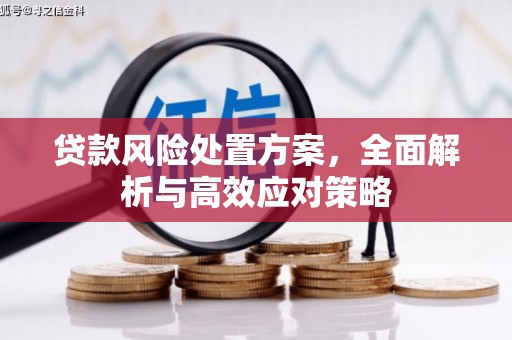 西充贷款风险处置方案，全面解析与高效应对策略