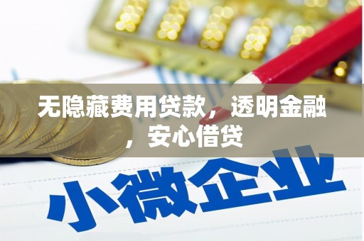 聊城无隐藏费用贷款，透明金融，安心借贷