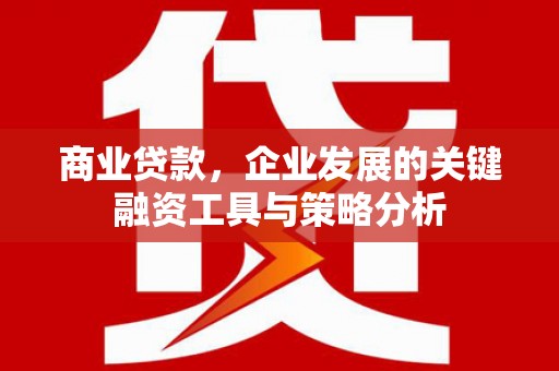 文县商业贷款，企业发展的关键融资工具与策略分析