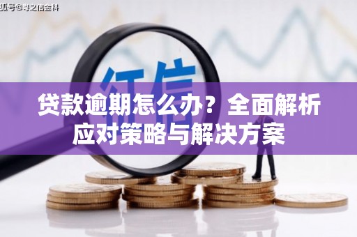 淄川贷款逾期怎么办？全面解析应对策略与解决方案