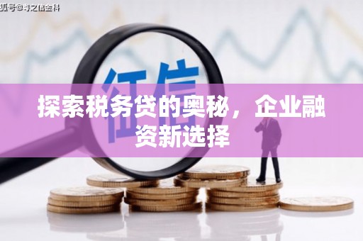 西塞山探索税务贷的奥秘，企业融资新选择