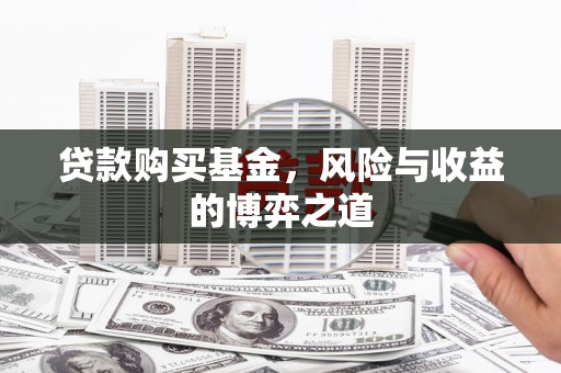 大渡口贷款购买基金，风险与收益的博弈之道