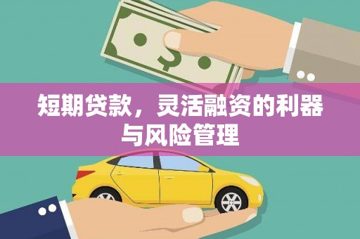 衡东短期贷款，灵活融资的利器与风险管理