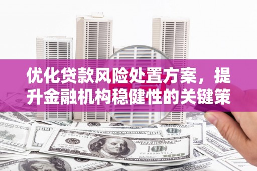 崇明优化贷款风险处置方案，提升金融机构稳健性的关键策略
