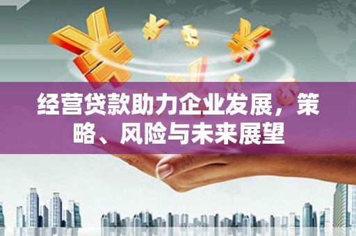 张家港经营贷款助力企业发展，策略、风险与未来展望