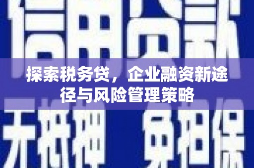 临西探索税务贷，企业融资新途径与风险管理策略