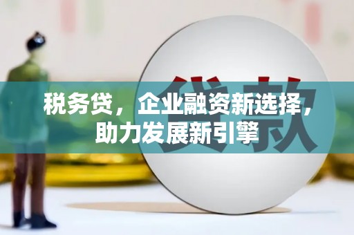 甘谷税务贷，企业融资新选择，助力发展新引擎