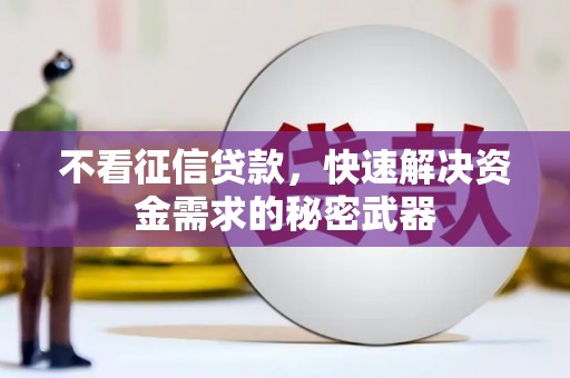 雷山不看征信贷款，快速解决资金需求的秘密武器
