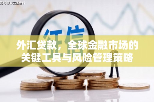 肥乡外汇贷款，全球金融市场的关键工具与风险管理策略