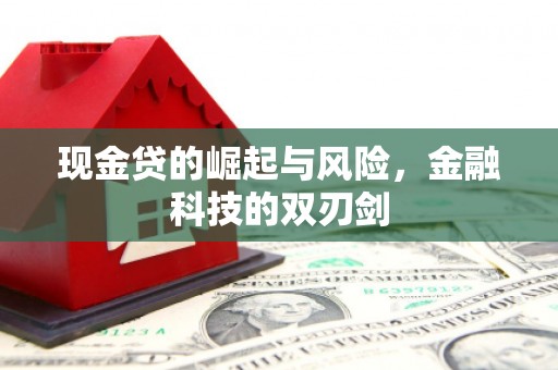 山东现金贷的崛起与风险，金融科技的双刃剑