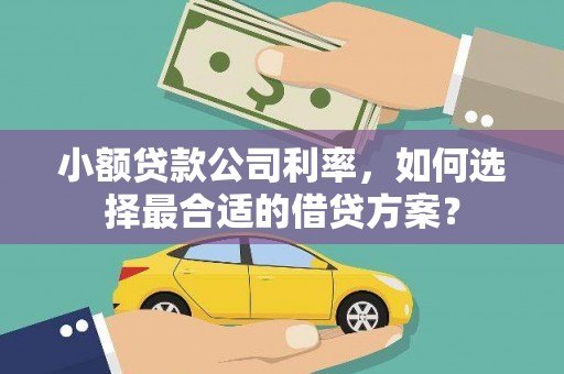 双流小额贷款公司利率，如何选择最合适的借贷方案？