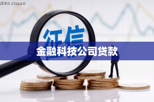 柳营金融科技公司贷款