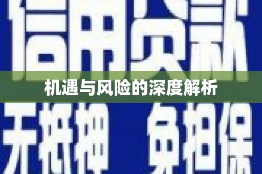 小店机遇与风险的深度解析