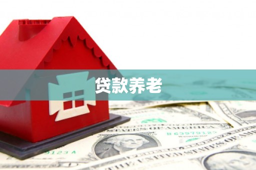 兰屿贷款养老